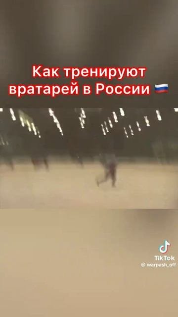 вратари*