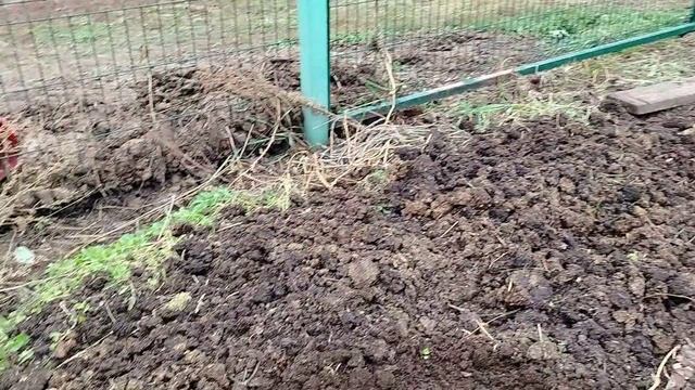 Что я посажу в октябре.Купили сено.Сельские будни.
