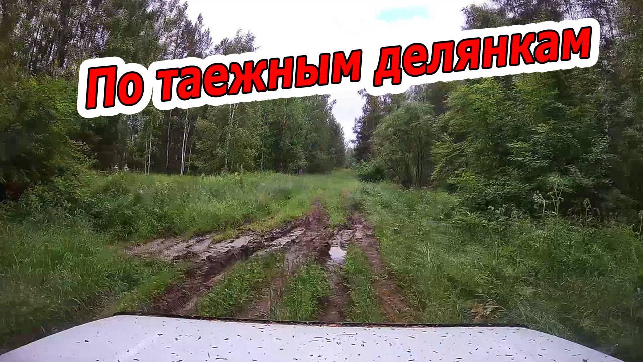 По Таежным Делянкам на НИВЕ