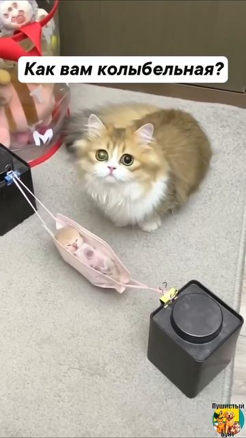 Клип @meowtaverse