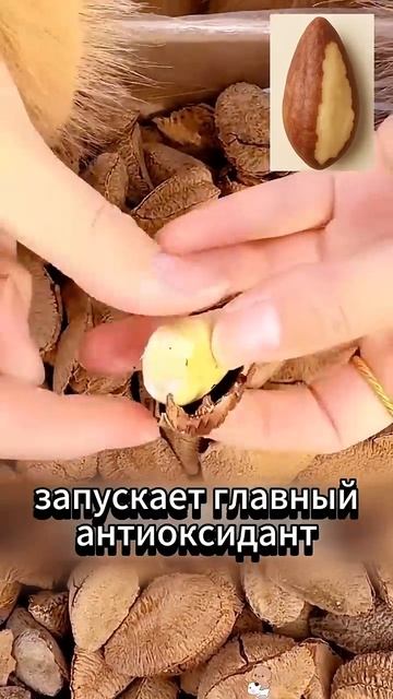 Самый омолаживающий суперфуд - бразильский орех