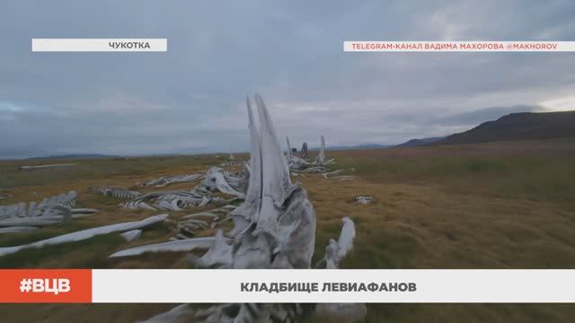 Кладбище левиафанов \ В центре внимания - 5 (10.10.2025)