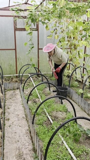 🏡 Жизнь в деревне 10 октября 2025