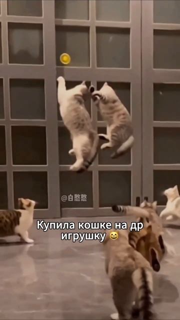 Артикул Яндекс.Маркет: YM10136525 (Не забудь при поиске YM)
Артикул AliExpress: ALI136725573 (Не заб