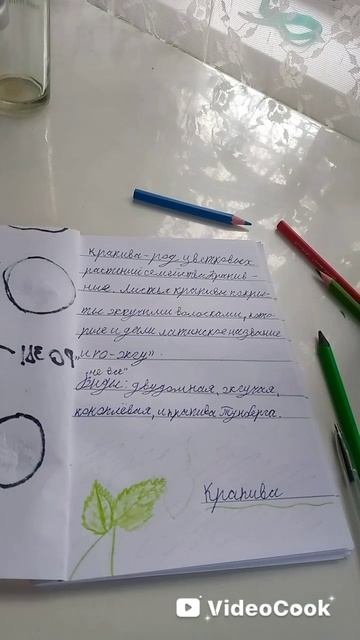 заполняю травник_крапива_