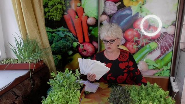 Только для моих заказчиков. Отчет о рассылке семян томатов на 8 октября 2025 года.