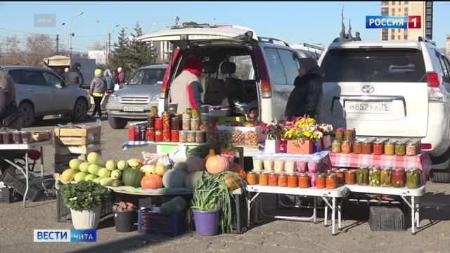 11 октября «Вести-Чита» в 08:00