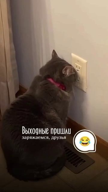 Выходные пришли