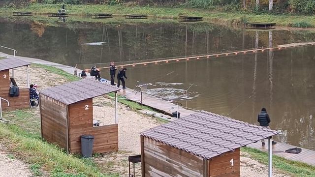Forest Fishing 11.10.25