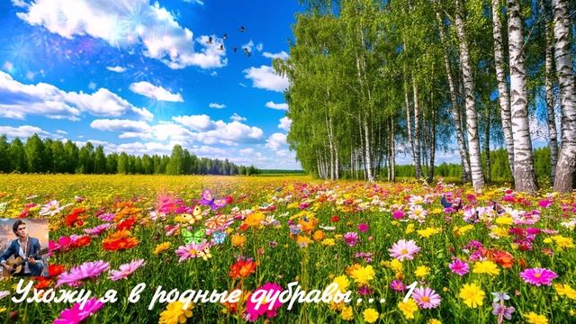 Ухожу я в родные дубравы...1 ВИДЕО ПЕСНЯ В ДУШУ