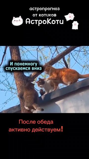 Стабильность и чувственность или любознательность и легкость