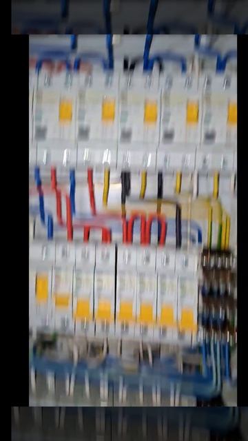 1000037026.mp4 (Собака смотрит на монтаж электропроводки (в э/щите) в доме А-фрейм)
