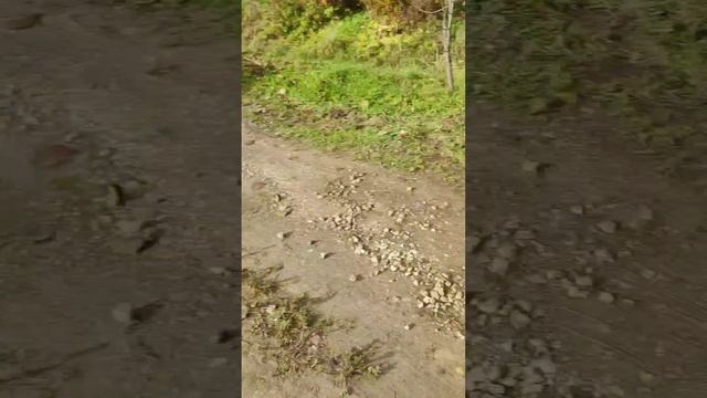 Самостоятельное внимание 2