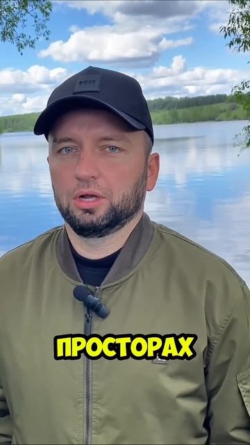 426566219145341729
