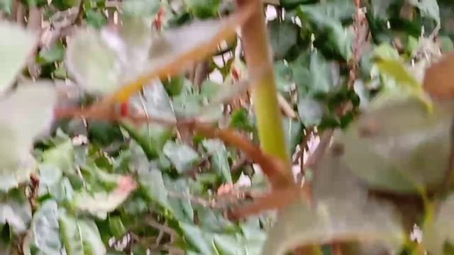1000055111.mp4
