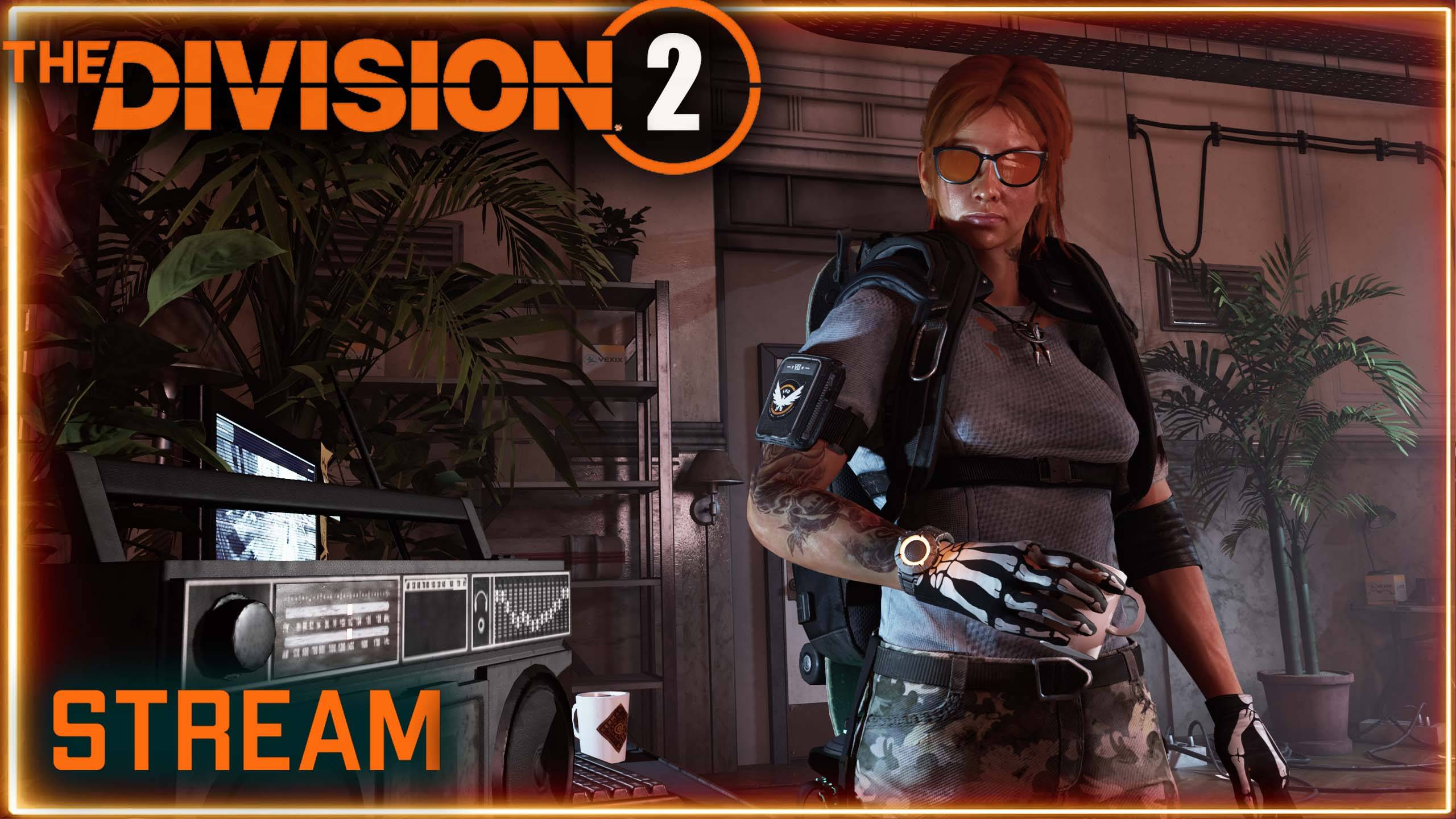 Division 2 Stream: Возможен рейд ⚡ ПВЕ ⚡Возможно ПВП и темная зона