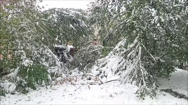 После снегопада.