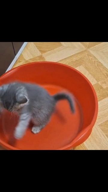 5. 