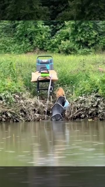 Опытный рыбак😎