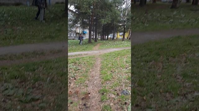 дота в реальной жизни