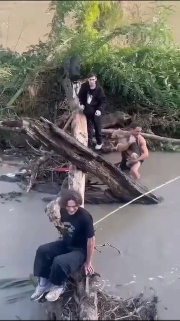 Спасение собак в Сочи.