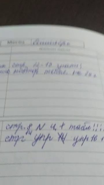 оценки в дневнике