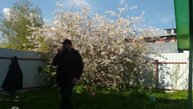 В любимом саду