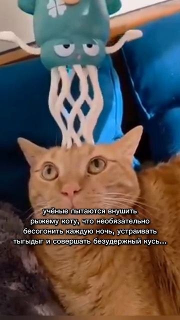 Они пытались...)