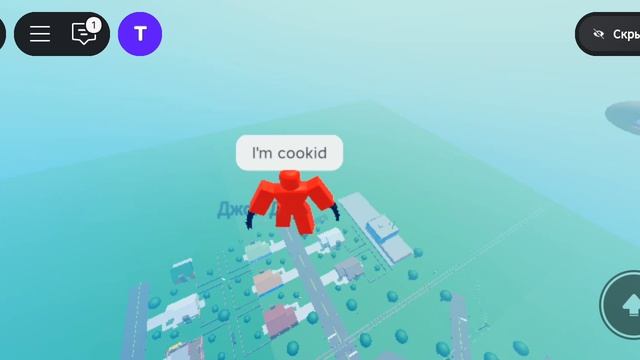 играл в брейнрот