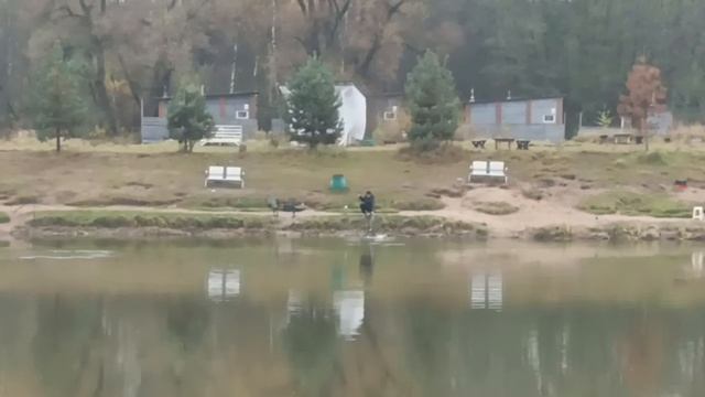 1000120513.mp4