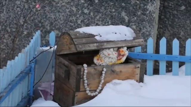Агентство развития Новотроицка