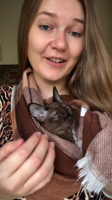 Ношу кошку в слинге😆