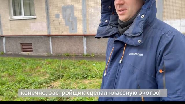 Борщевик в Сосновском лесном массиве рядом с домами