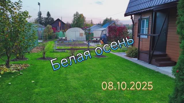 Белая осень.mp4