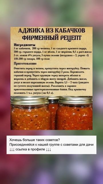 Аджика из кабачков: секретный рецепт