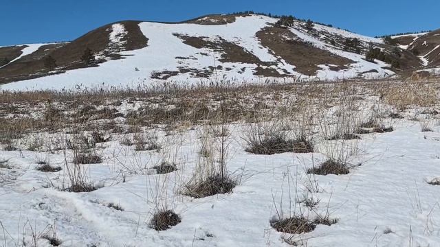 холмы