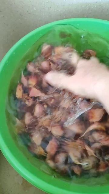 Посадка чеснока