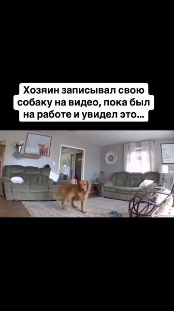 @rotnaobroth