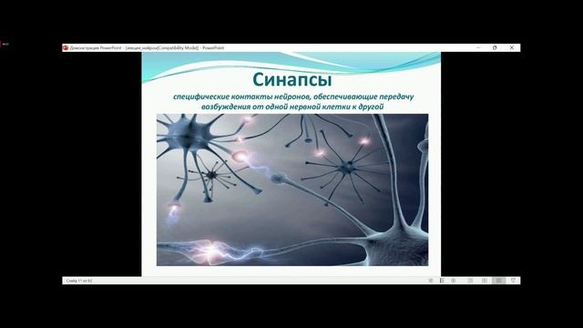 Лекция по нормальной физиологии 11.10.25