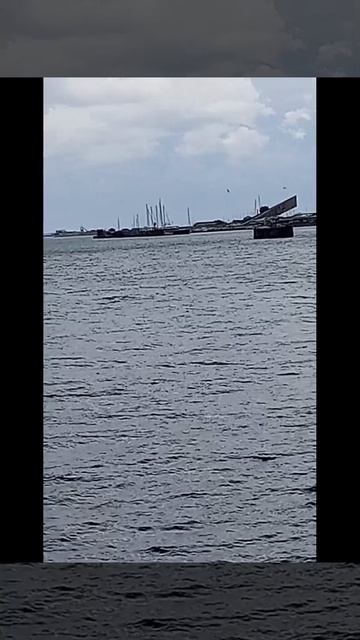 1000061396.mp4