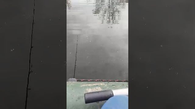 Рыбалка осенью