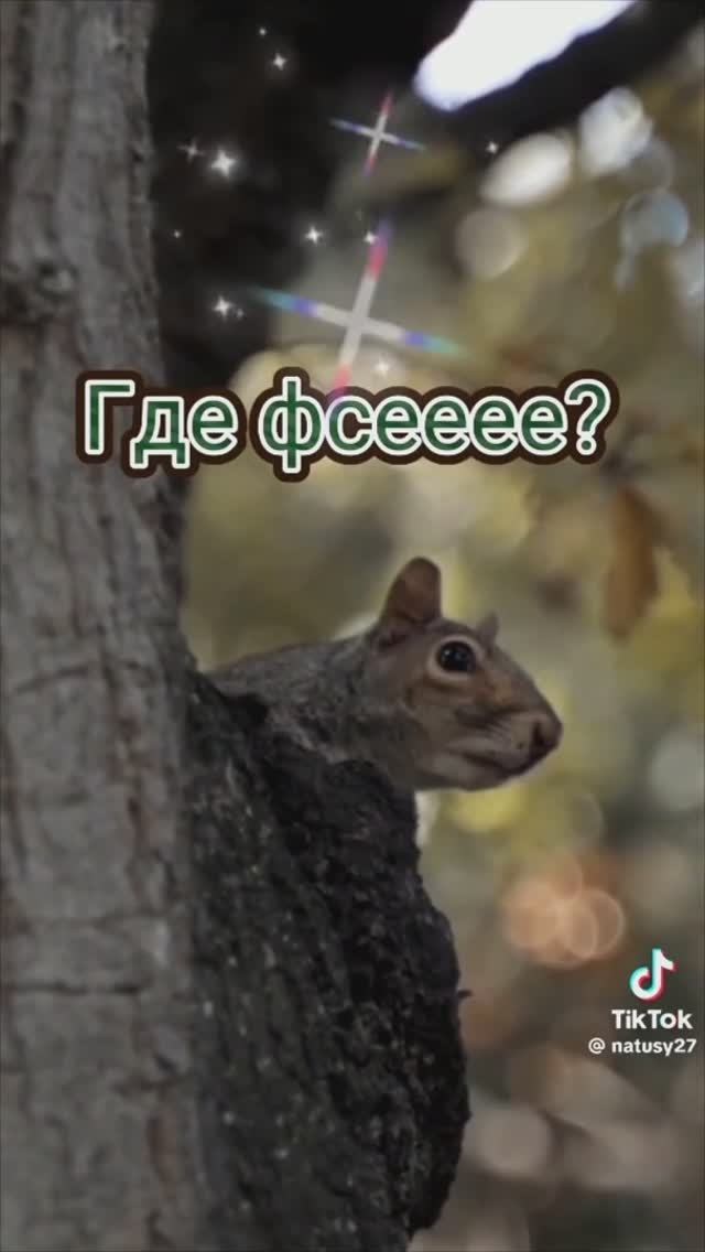 Девочки приятного аппетита 