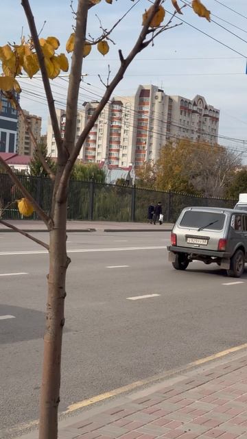 Центральная улица в Тамбове