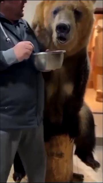 Мальчик 😅 👍