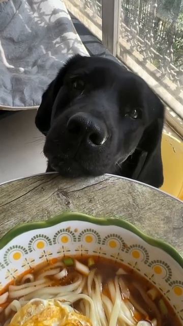 Чё там вкусненького