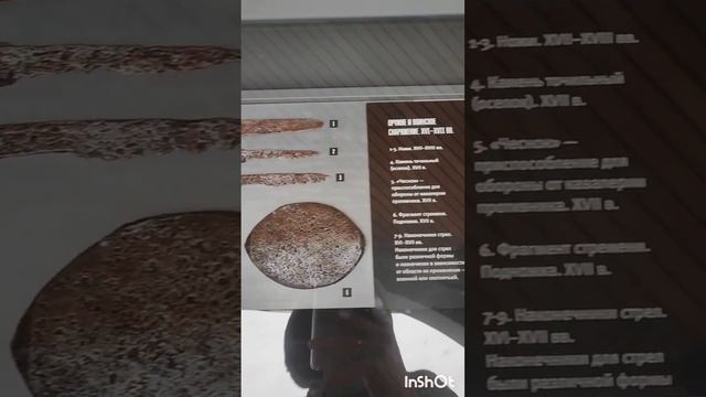 Поездка в Тулу
