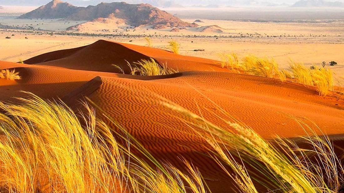Kalahari