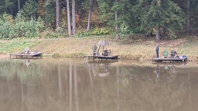 Forest Fishing 11.10.25