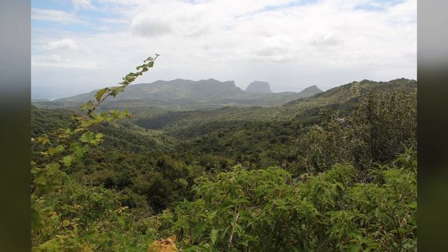 Маврикий, национальный природный парк BLACK RIVER GORGES NATIONAL PARK