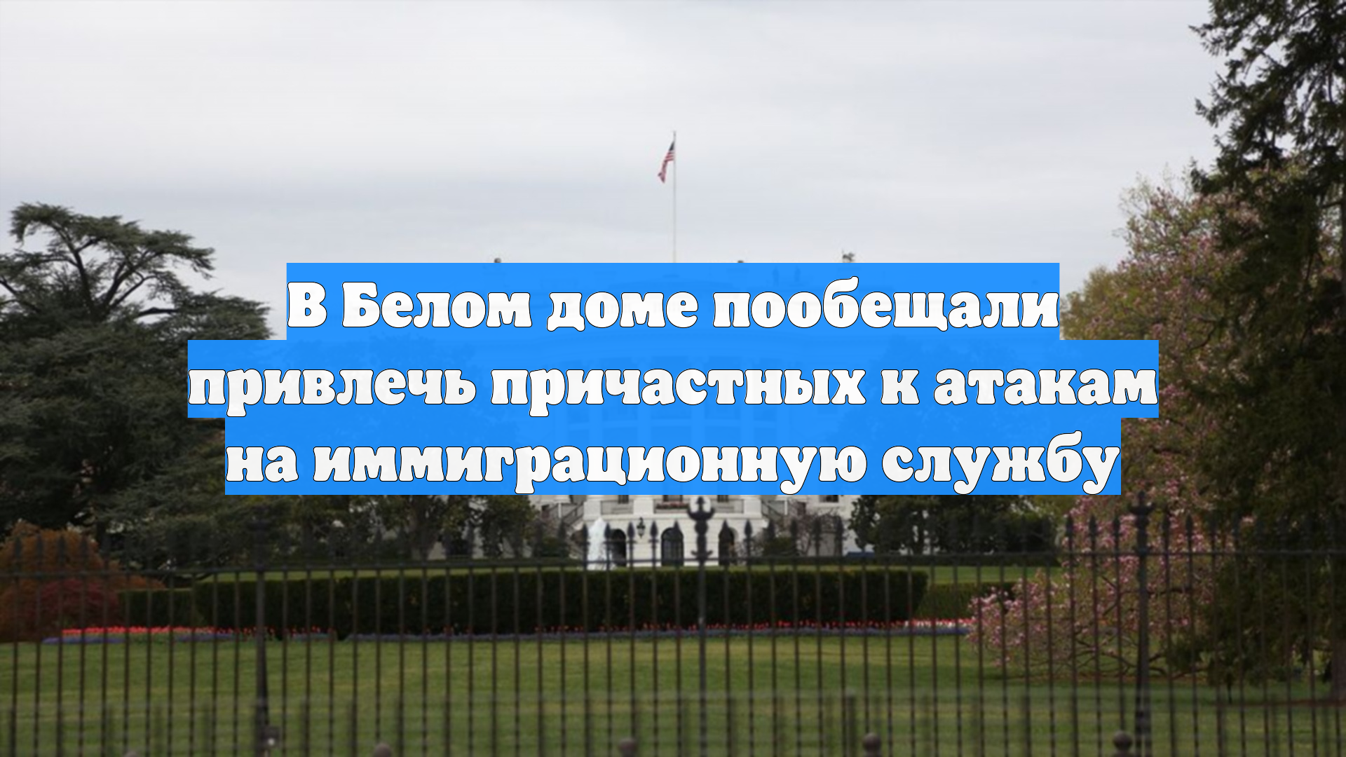 В Белом доме пообещали привлечь причастных к атакам на иммиграционную службу